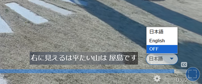 テロップ／字幕