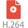 最新のビデオコーデックH.264に対応